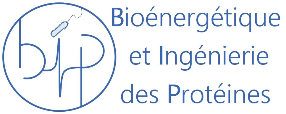 BIP : Bioénergétique et Ingénierie des Protéines