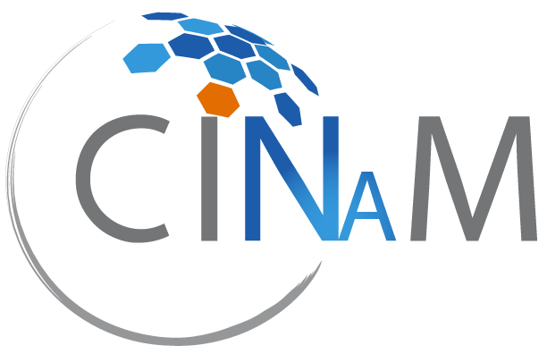 CINAM : Centre Interdisciplinaire de Nanoscience de Marseille