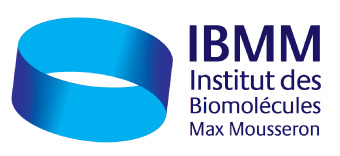 IBMM : Institut des Biomolécules Max Mousseron 